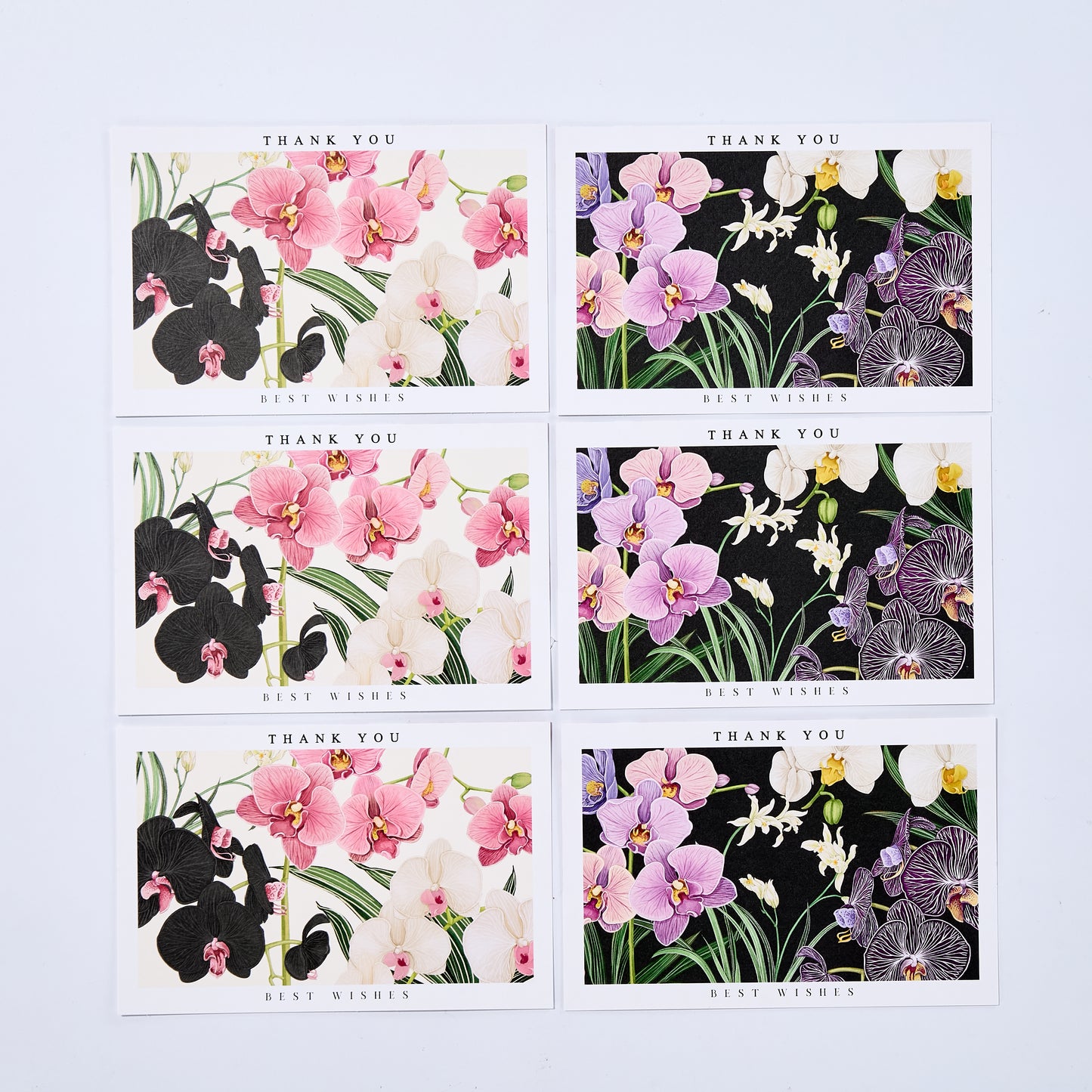 Hand-Painted Butterfly Orchid Floral Thank You Note Card Set of 10